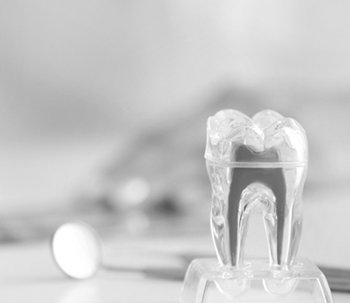 Endodontie Endodontie